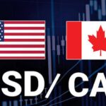 FX Rate Updates