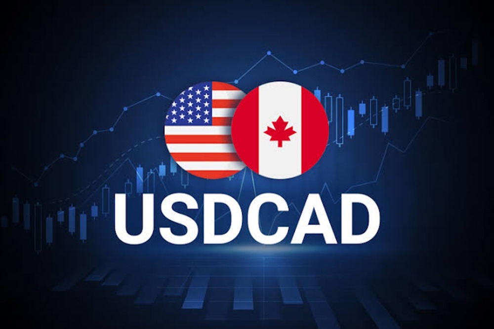 FX Rate Updates